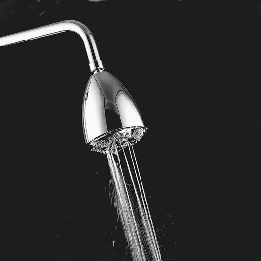 VitalityPro Shower Head